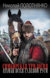 Атаман всея гулевой Руси - автор Полотнянко Николай Алексеевич 