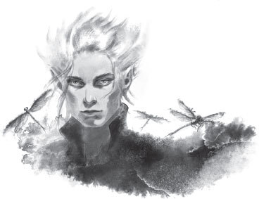 Рубиновый маяк дракона - i_005.jpg