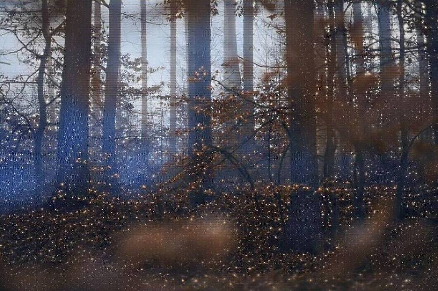 Спецотдел 3 (СИ) - img_3