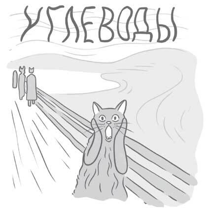 Чем и как кормить кошку, чтобы не навредить - i_011.jpg