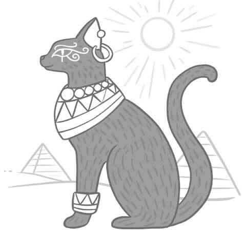 Чем и как кормить кошку, чтобы не навредить - i_017.jpg