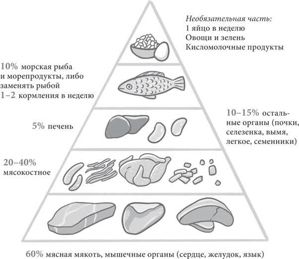 Чем и как кормить кошку, чтобы не навредить - i_020.jpg
