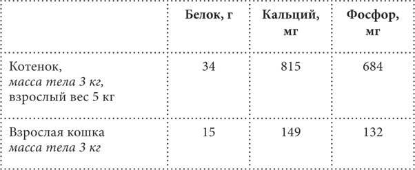 Чем и как кормить кошку, чтобы не навредить - i_030.jpg