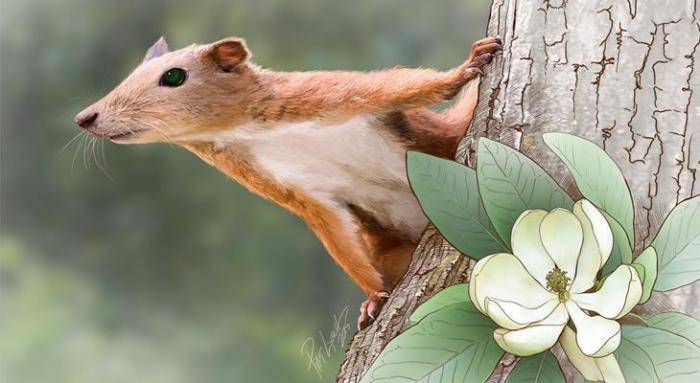 Лимб: Дракон (СИ) - img_8