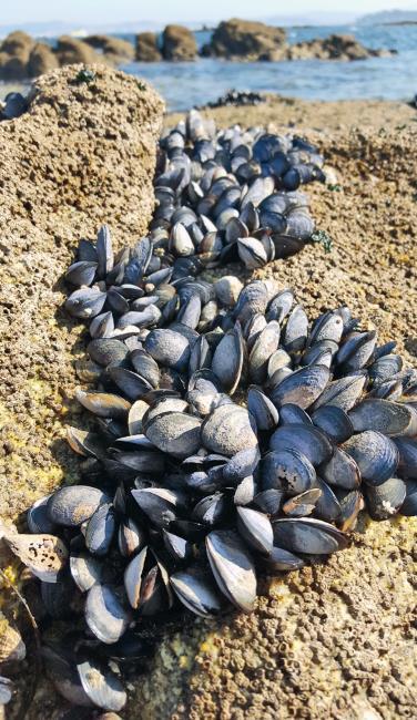 Испания изнутри. Как на самом деле живут в стране фламенко и сиесты? - i_031.jpg