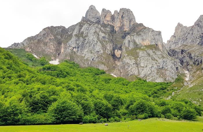 Испания изнутри. Как на самом деле живут в стране фламенко и сиесты? - i_041.jpg