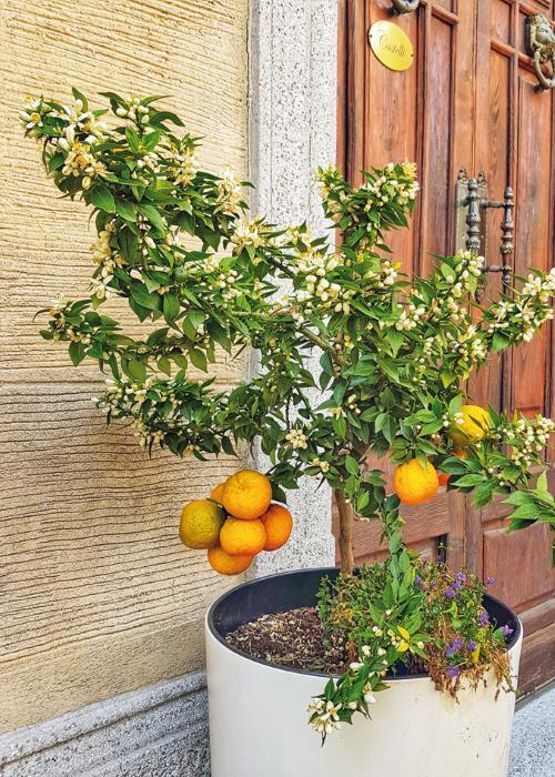 Испания изнутри. Как на самом деле живут в стране фламенко и сиесты? - i_049.jpg