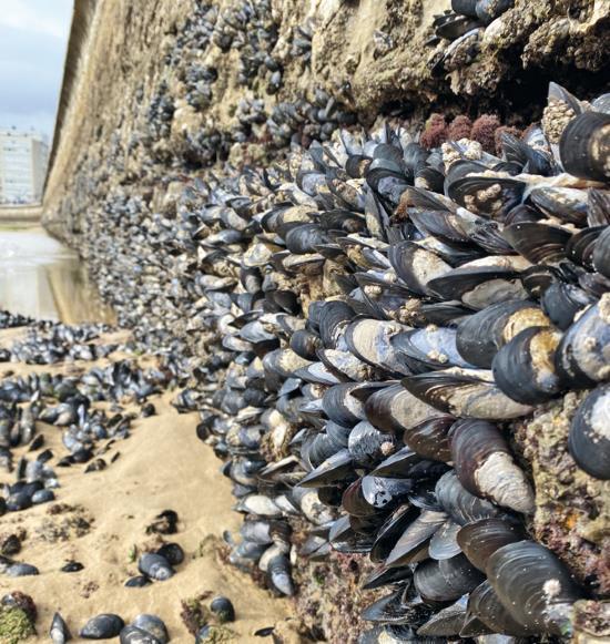 Испания изнутри. Как на самом деле живут в стране фламенко и сиесты? - i_056.jpg