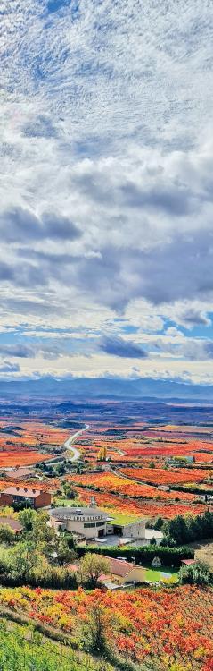 Испания изнутри. Как на самом деле живут в стране фламенко и сиесты? - i_064.jpg