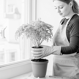 Большая книга о соцсетях для предпринимателей, экспертов и блогеров - i_102.png