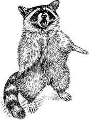 Полукровка (ЛП) - _1.jpg