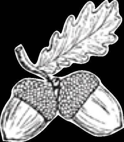 Полукровка (ЛП) - _8.jpg