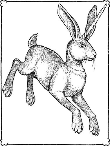 Невероятные создания - i_005.jpg