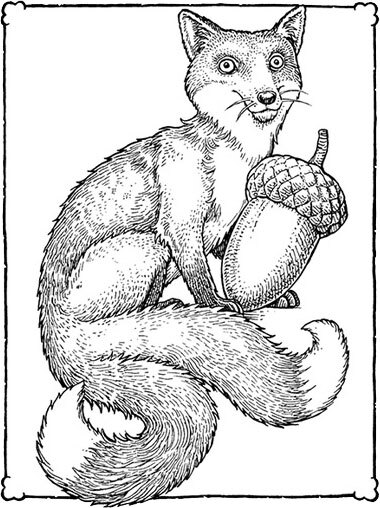 Невероятные создания - i_012.jpg