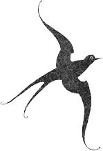 Невероятные создания - i_049.jpg