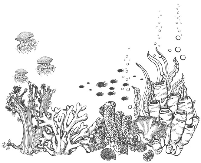 Шепот глубин - i_009.jpg