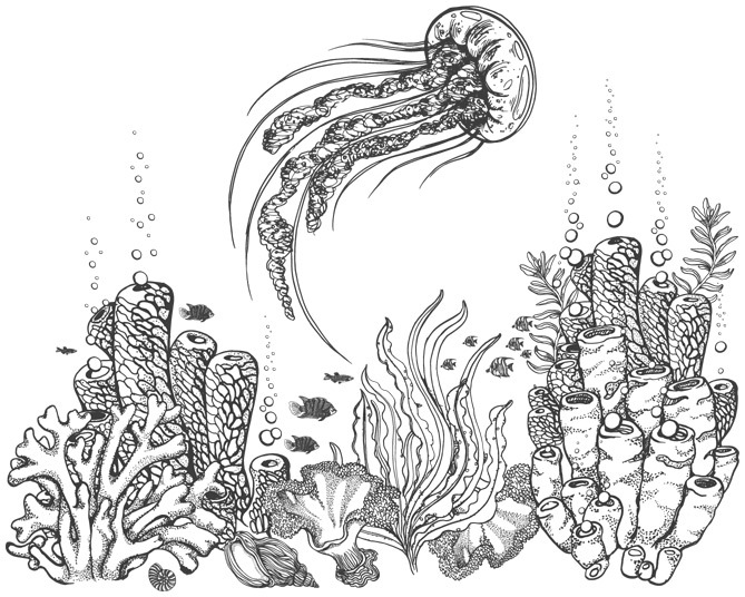 Шепот глубин - i_015.jpg