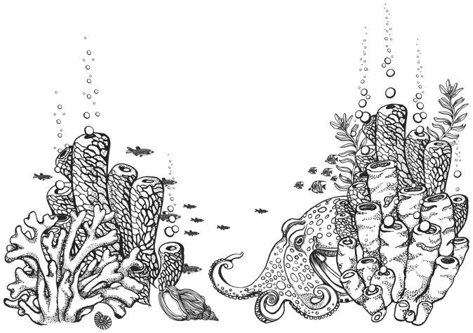 Шепот глубин - i_024.jpg