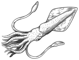 Шепот глубин - i_030.jpg