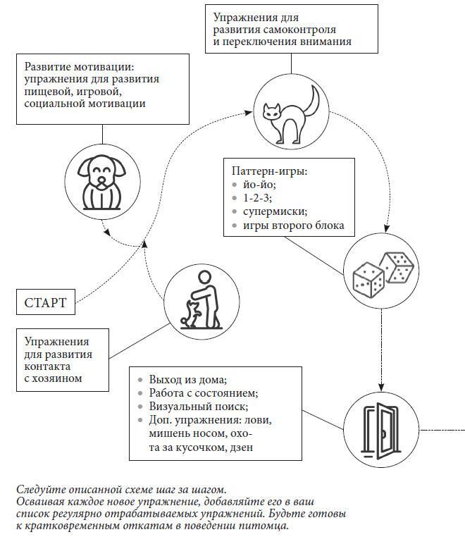 Не тяни! Как научить собаку гулять на провисшем поводке - i_036.jpg