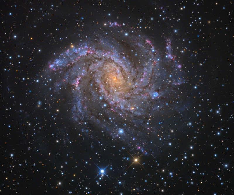 Четвёрка разумных (СИ) - image7.jpg