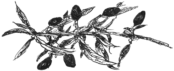 Цвет мести - i_005.png