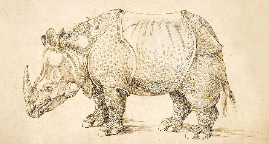 12 животных в мировом искусстве - i_017.jpg