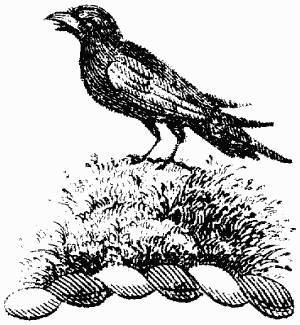 Преступник (сборник) - _18.jpg