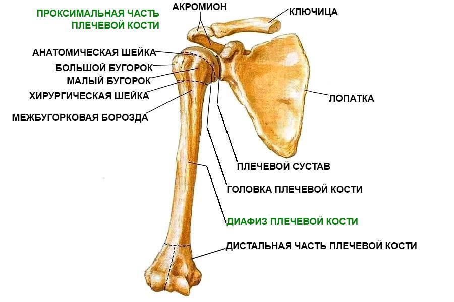 Юджин (СИ) - img_49