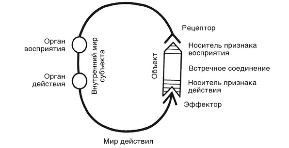 Путешествие в окружающие миры животных и людей. Теория значения - img_3.jpeg