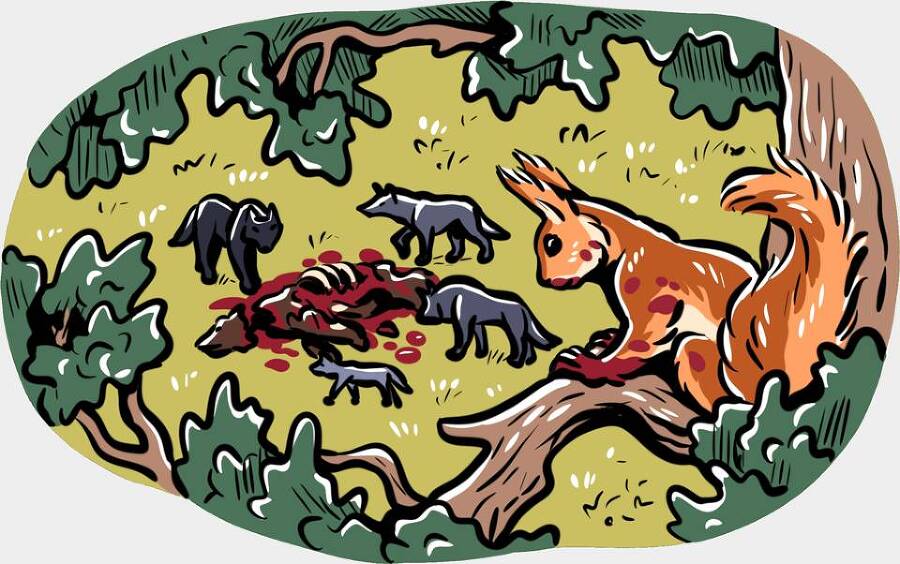 Сорняк (СИ) - img_54