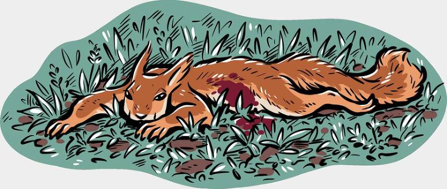 Сорняк (СИ) - img_83