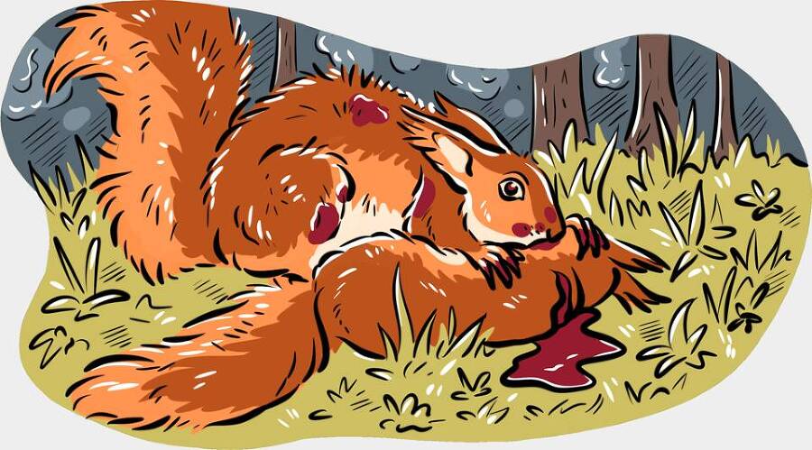 Сорняк (СИ) - img_42