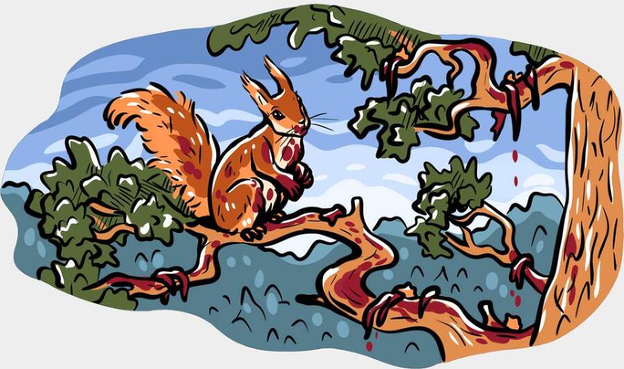 Сорняк (СИ) - img_46