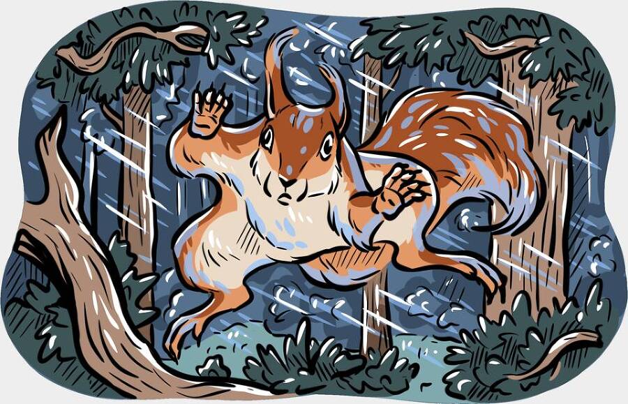 Сорняк (СИ) - img_63