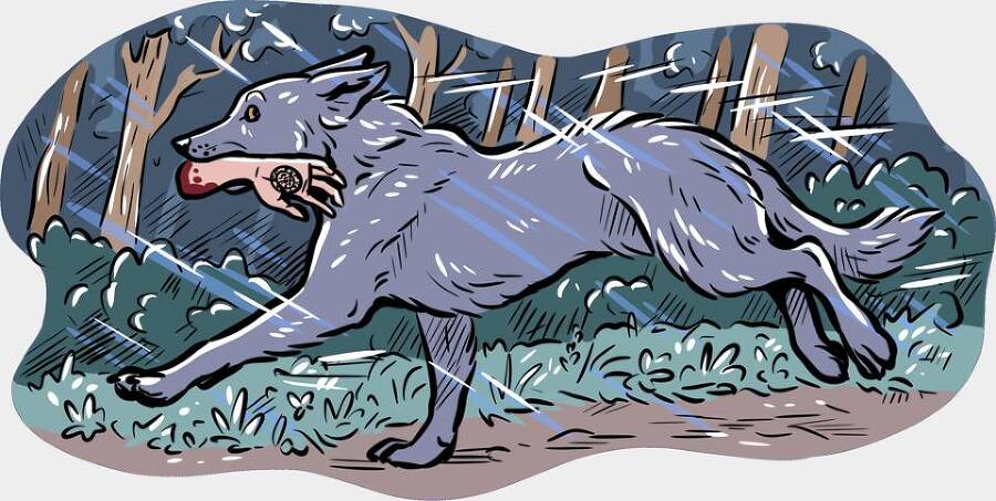 Сорняк (СИ) - img_67