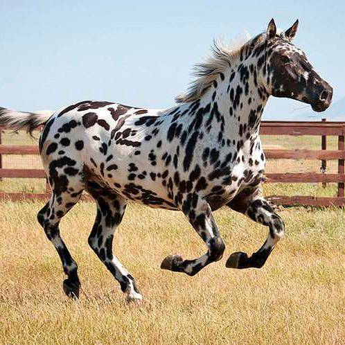 Строитель (СИ) - img_13