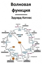 Волновая функция (СИ) - автор Катлас Эдуард 