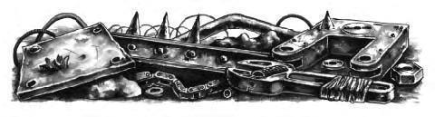 Зеленая заря (СИ) - img_13