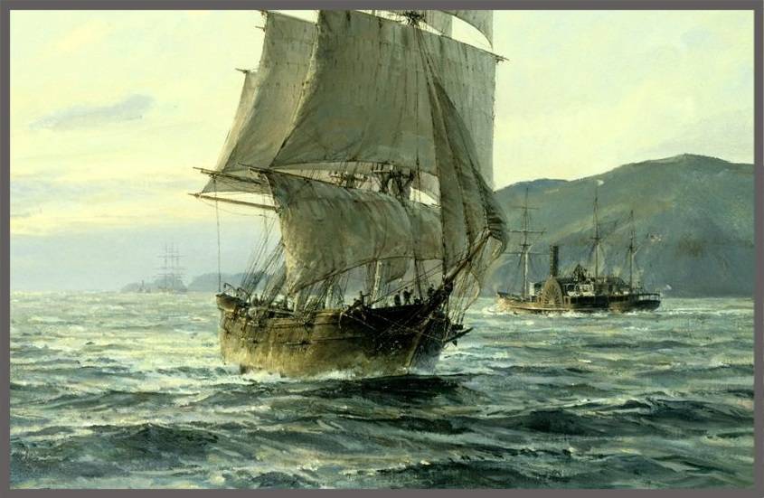 Таможня дает добро (СИ) - img_5