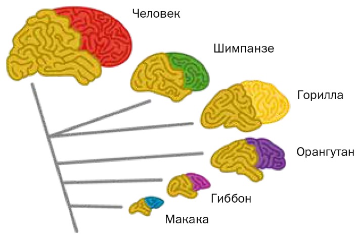 Семейное счастье 2.0. Как избавиться от одиночества? - i_008.png