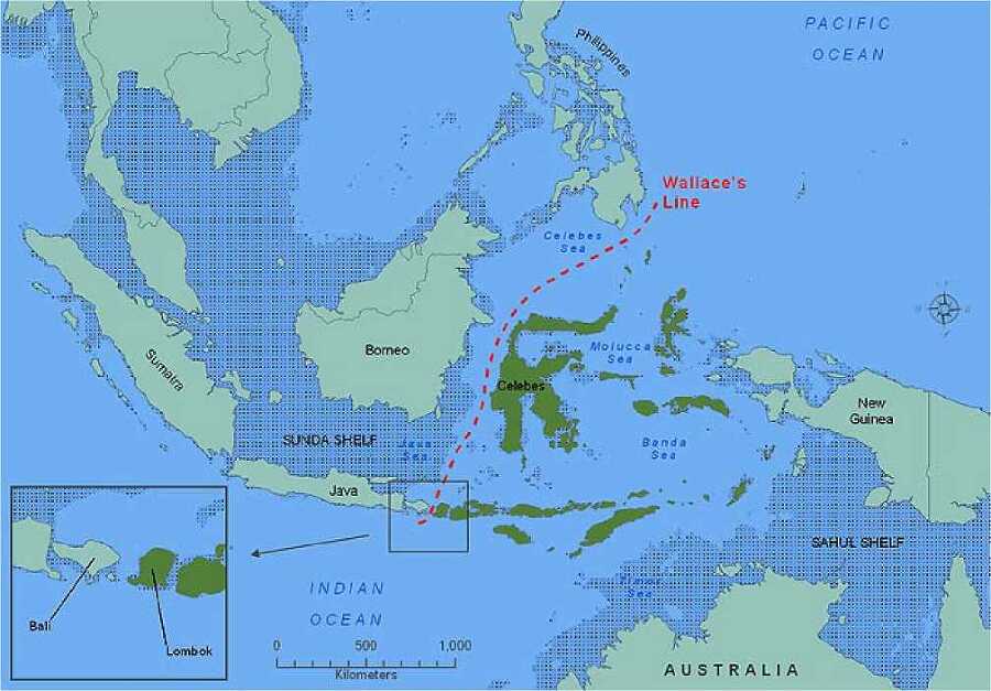Страна восходящего солнца. Загадки древней истории - i_037.jpg