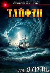 Дурень. Книга шестая. Тайфун - автор Шопперт Андрей Готлибович 