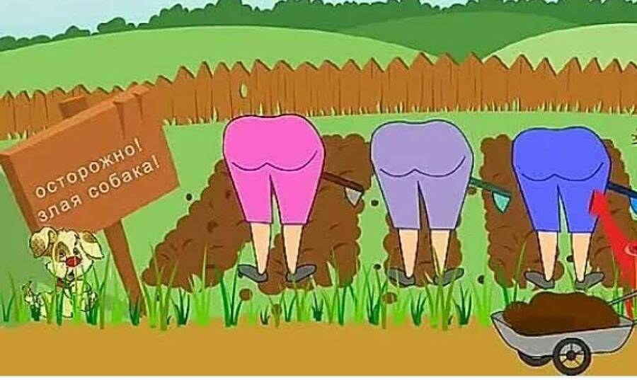 Типичный огородник 2 (СИ) - img_73