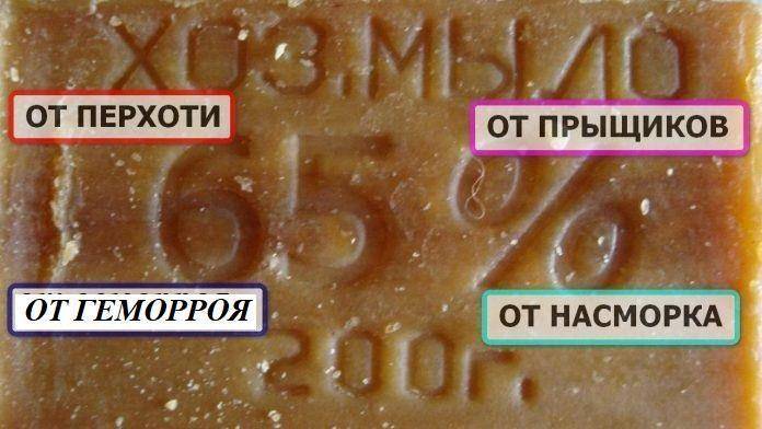 Типичный огородник 2 (СИ) - img_13