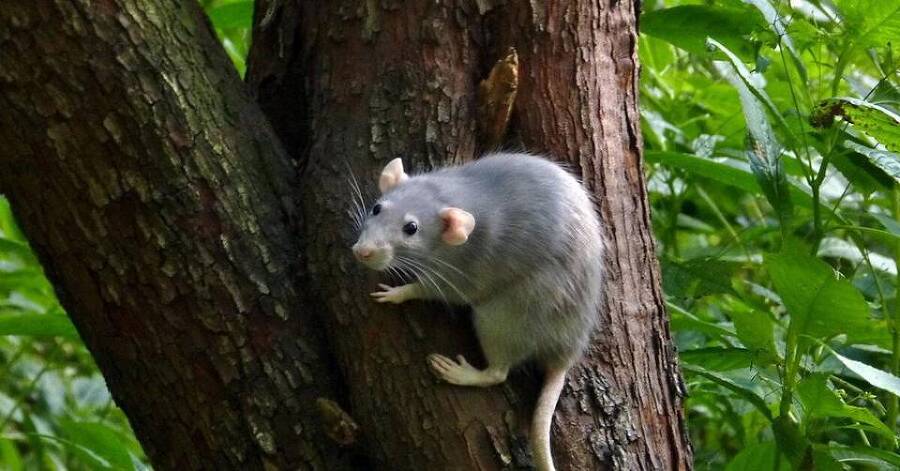 Типичный огородник 2 (СИ) - img_80