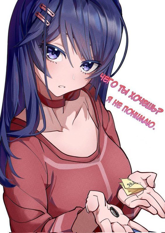 Универсальный тестировщик (Miside) (СИ) - i_015.jpg