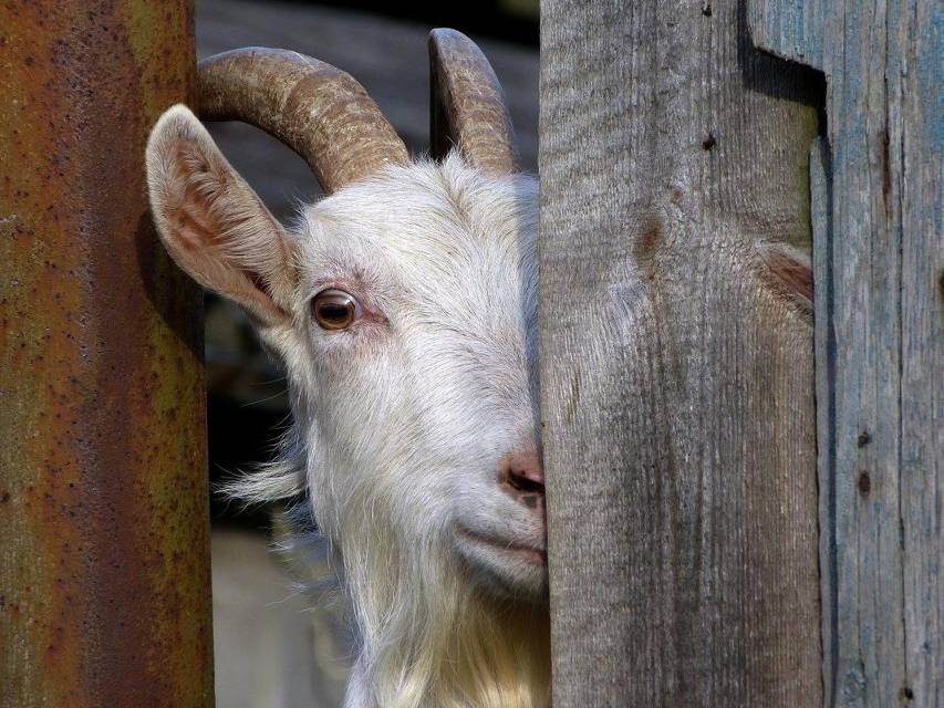 Господин следователь. Книга седьмая (СИ) - _1.jpg