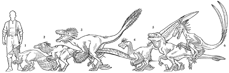 Секрет рапторов - img_100