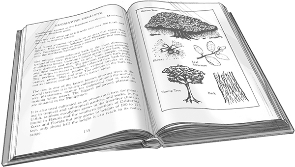 Секрет рапторов - img_33